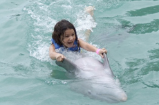 Ocho Rios Dolphin Swim cruise excursion